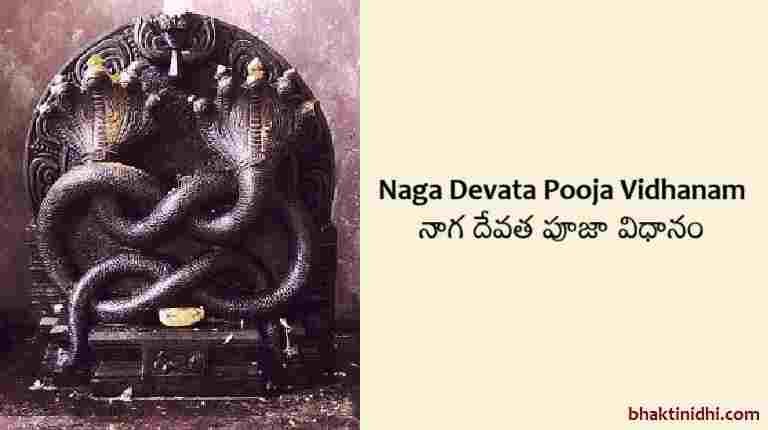 Naga Devata Pooja Vidhanam or Procedure